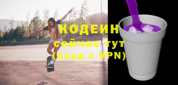 индика Зеленодольск