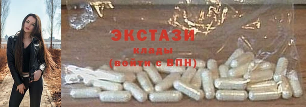 индика Зеленодольск