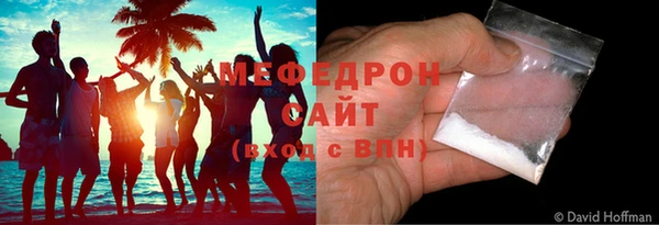 индика Зеленодольск
