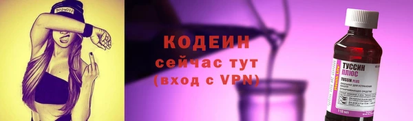 индика Зеленодольск