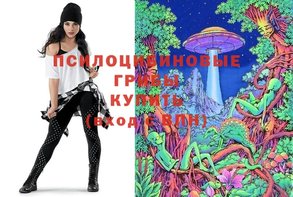индика Зеленодольск