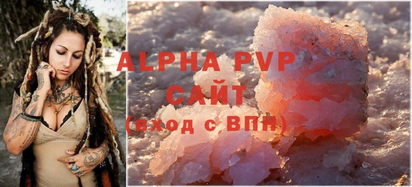 индика Зеленодольск