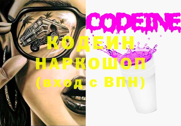 индика Зеленодольск