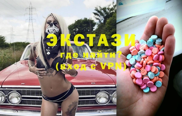 индика Зеленодольск